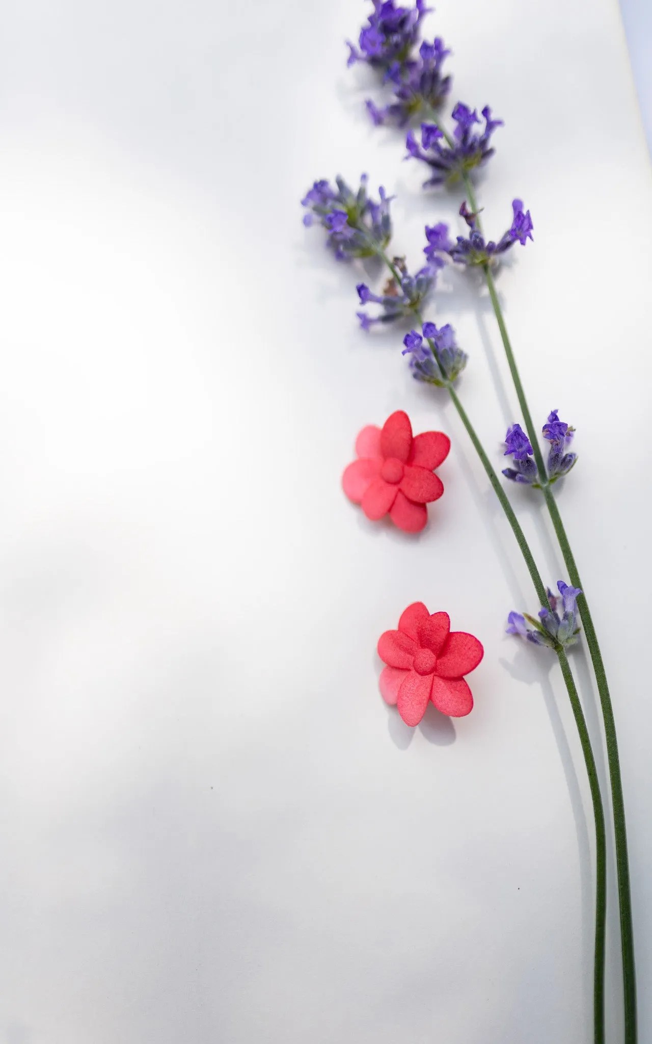 Boucles d'oreilles fleurs cerisier I CHERRY