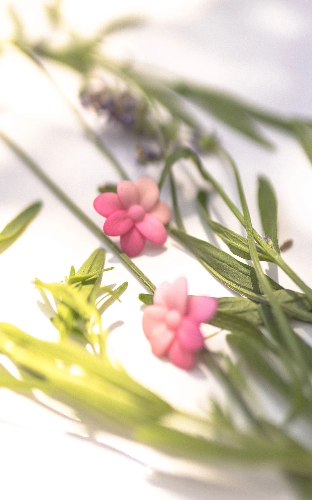 Boucles d'oreilles fleurs cerisier I CHERRY