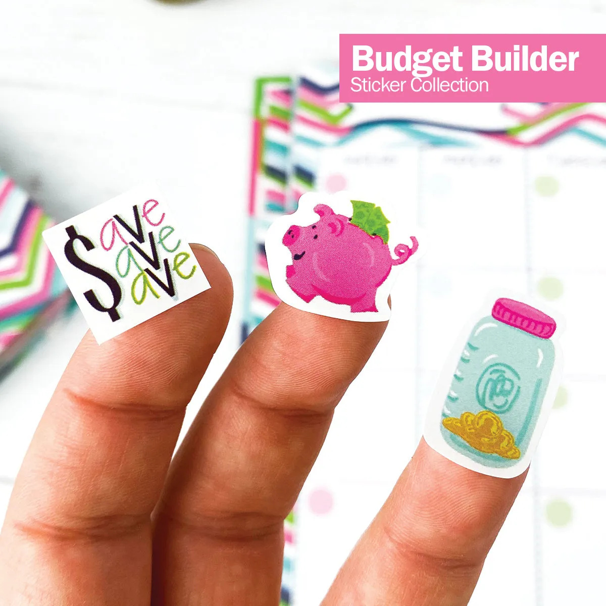 Budgeting Bundle | Budget Binder™ Financial Workbook   Mini Peek at the Week® Planner Pad   Sticker Set