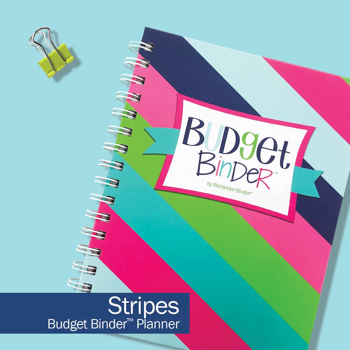 Budgeting Bundle | Budget Binder™ Financial Workbook   Mini Peek at the Week® Planner Pad   Sticker Set