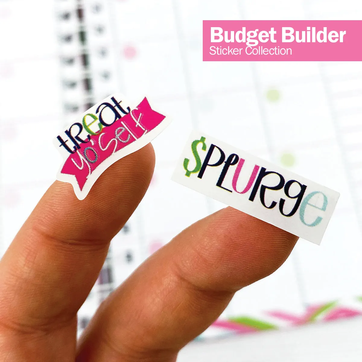 Budgeting Bundle | Budget Binder™ Financial Workbook   Mini Peek at the Week® Planner Pad   Sticker Set