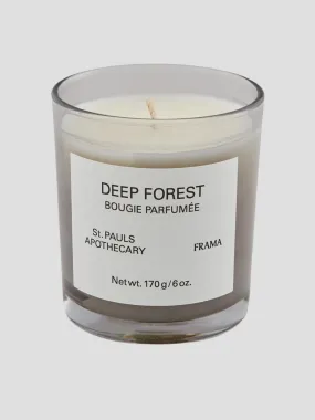 Deep Forest Scented Candle